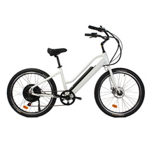 Newly American Design Hidden Battery Beach Cruiser Electric Bicycle